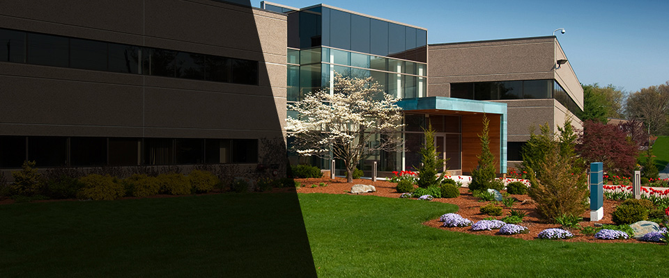 Carnegie Landscapers
