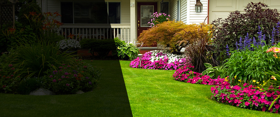 Carnegie Landscapers