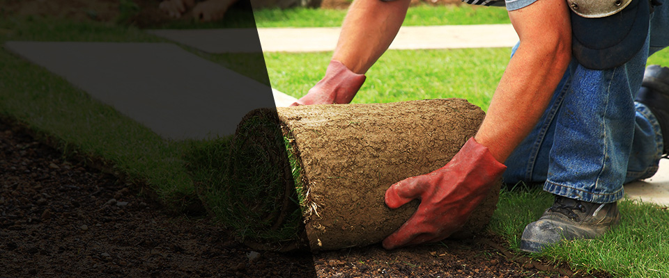 Carnegie Landscapers